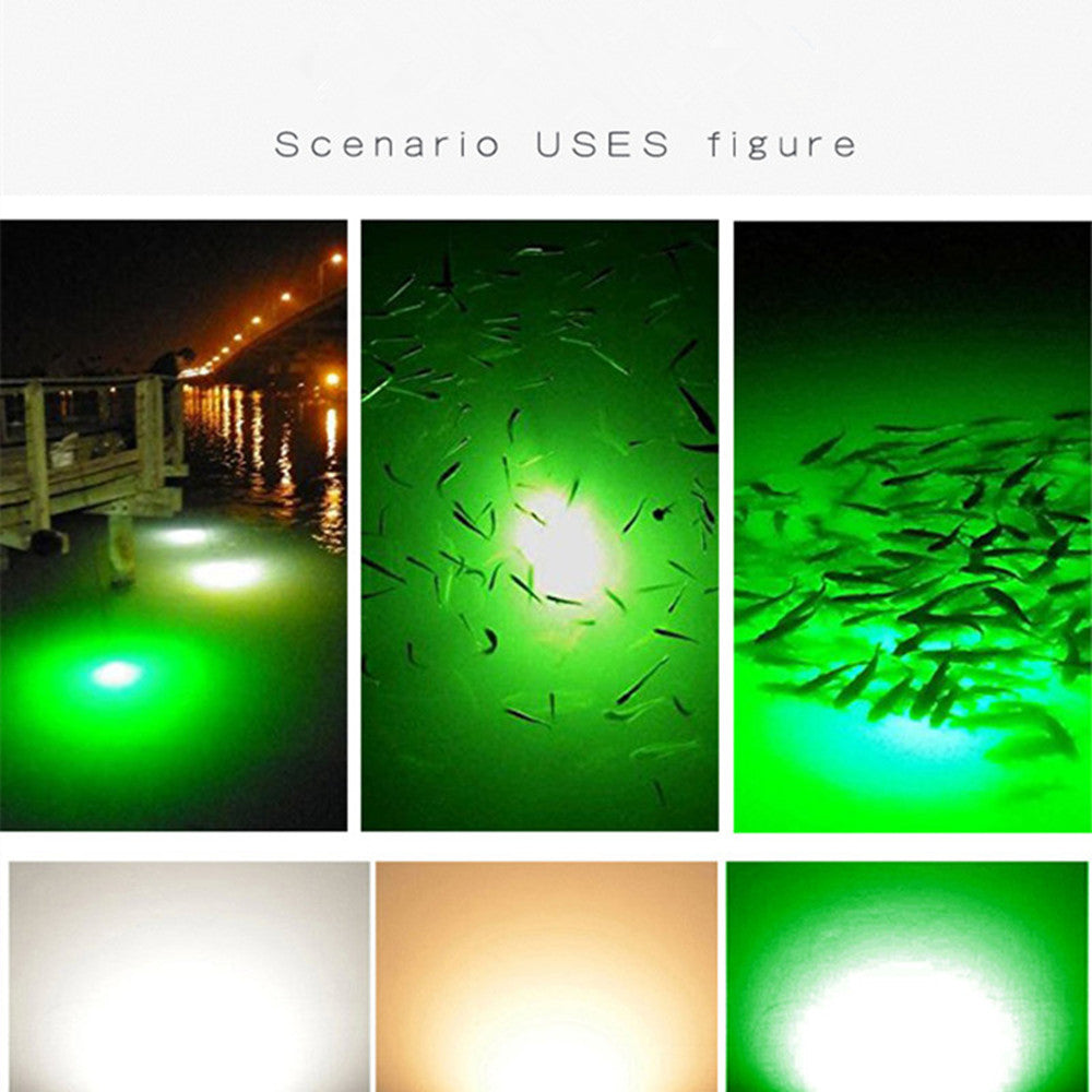 Underwater Fishing Light (12V LED Waterproof Ip68) to Lure